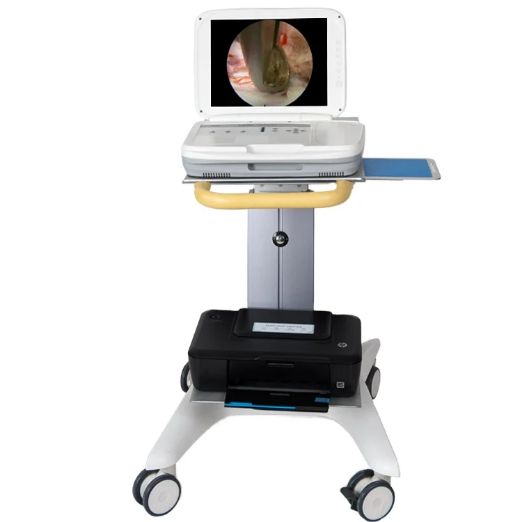 Medical Lab Images - YKD-9003 Vollständiges HD-Integriertes Tragbares Endoskopie-System für