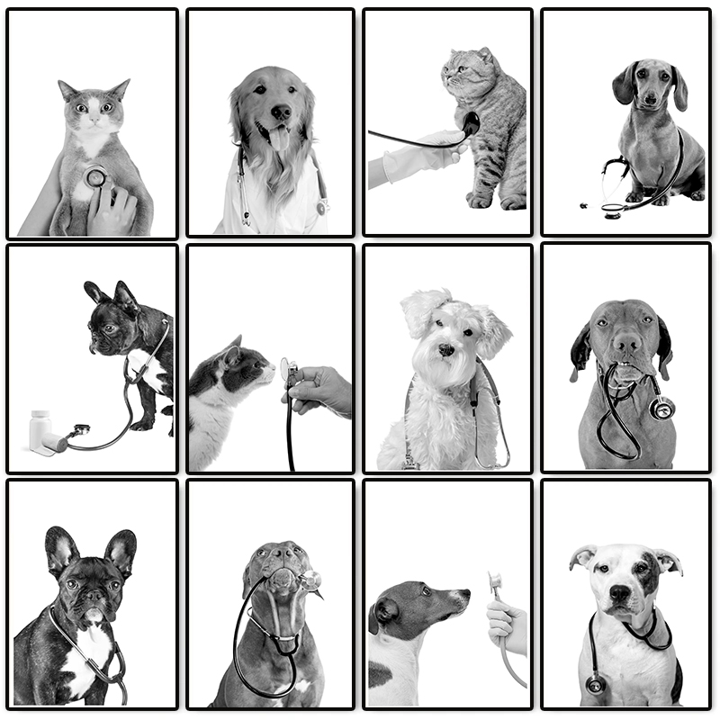 Stethoscope - Tierarzt Veterinärmedizin Poster Hunde Katzen mit