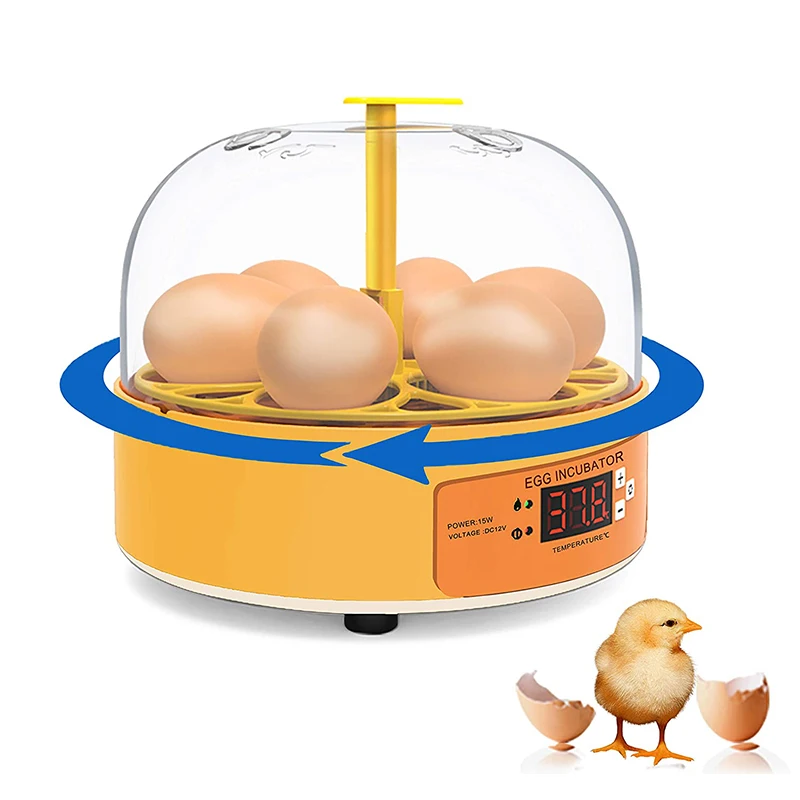 Brutkasten für Hühner, Enten u – Lab Incubator Bewertung und Preis