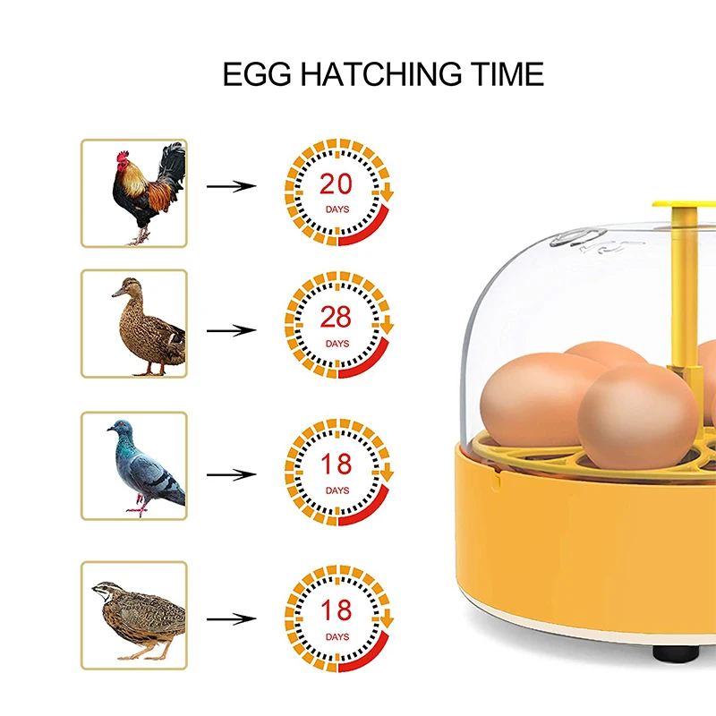 Brutkasten für Hühner, Enten u – Lab Incubator Bewertung und Preis