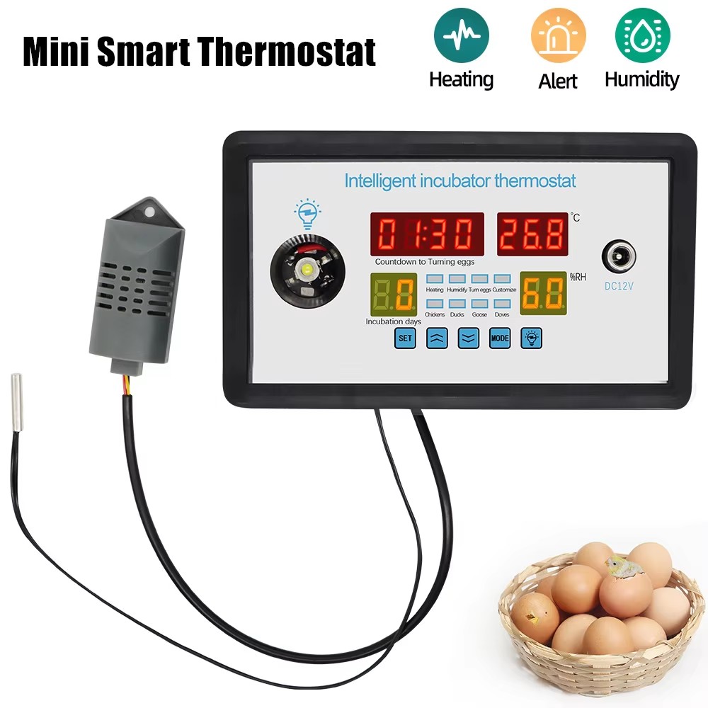 ZFX-W9002 12V/220V Eierinkubat – Lab Incubator Bewertung und Preis