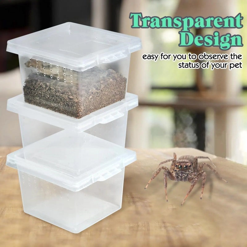10-Futterbox für Reptilienkäfi – Lab Incubator Bewertung und Preis