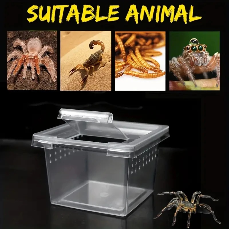 10-Futterbox für Reptilienkäfi – Lab Incubator Bewertung und Preis